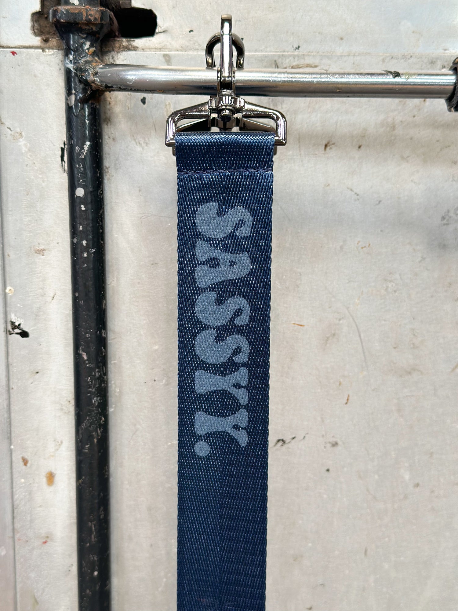 Sassyy. Straps